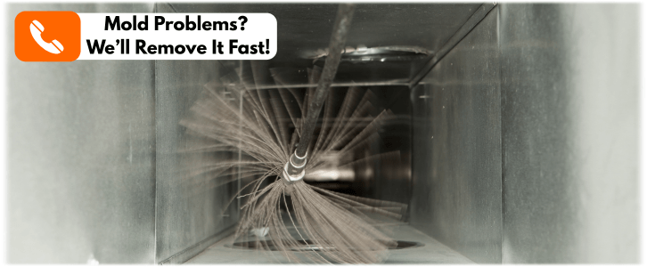 Air Duct Mold Removal in Baltimore