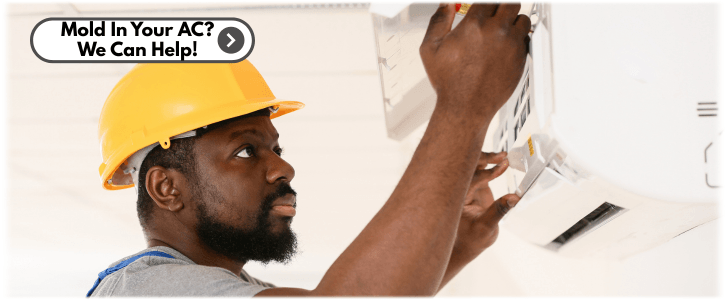 HVAC Mold Removal Baltimore